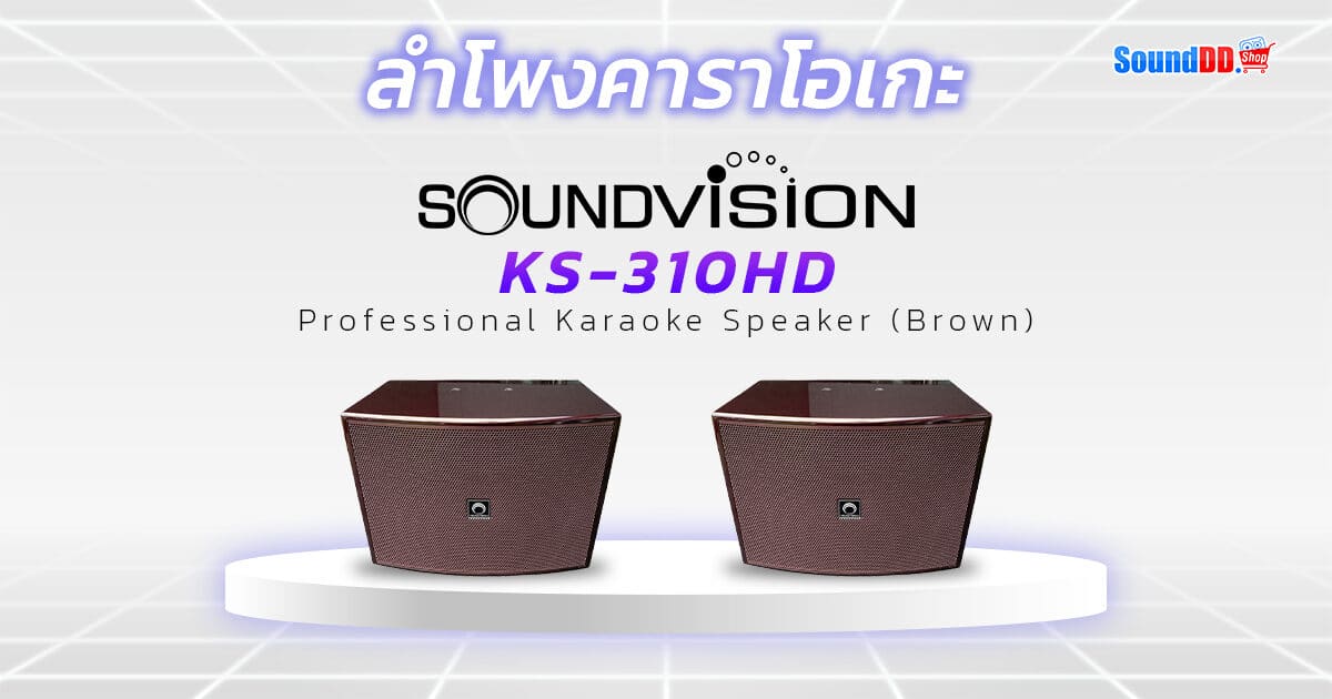 Recommended Karaoke Set For 30K 2