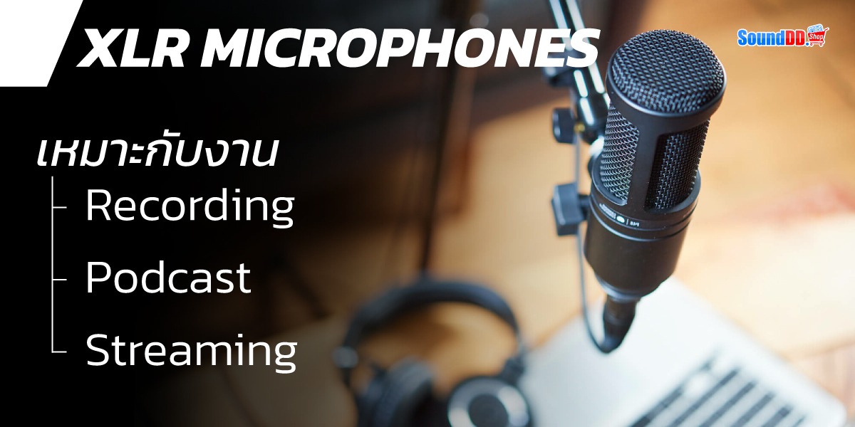 XLR Microphone เหมาะกับงานแบบใด