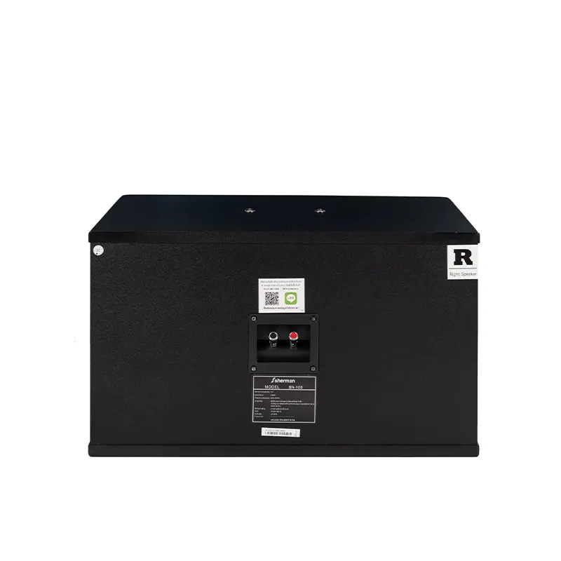 SHERMAN SN-100 ลำโพงคาราโอเกะ 10 นิ้ว 2 ทาง 250 วัตต์ - Image 5