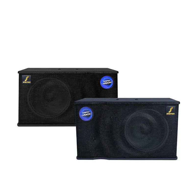 SHERMAN SN-200 ลำโพงคาราโอเกะ 10 นิ้ว 2 ทาง 300 วัตต์